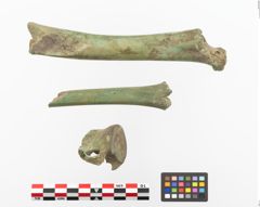 Foto von Bronzesitula (NHMW-PRAE-023693)